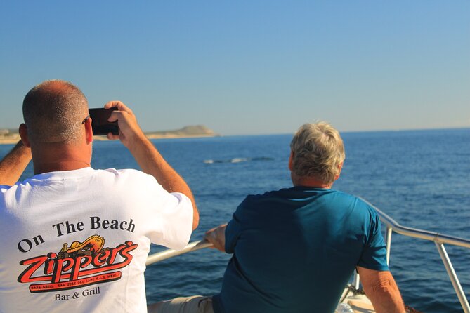 Whale Watching Warranty in San José del Cabo Snacks and drinks - The Ride Experience: Calm Waters and Time on the Hunt