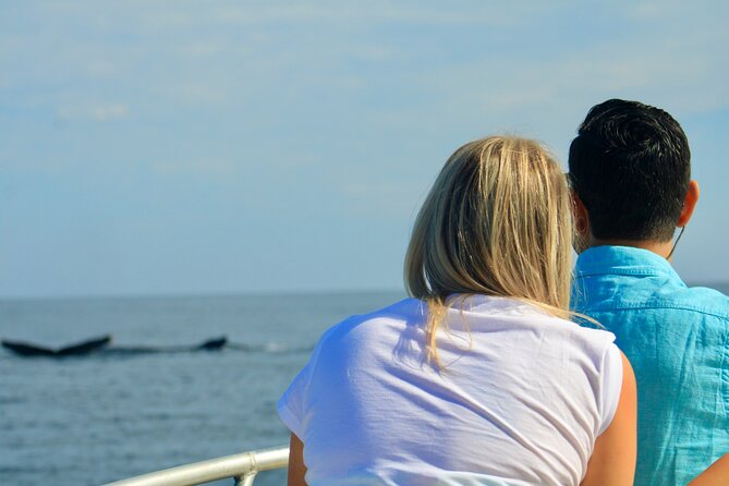 Whale Watching Warranty in San José del Cabo Snacks and drinks - Safety and Comfort: Why This One Feels Relaxing
