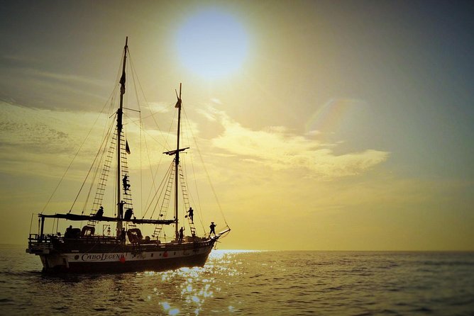 Yo Ho Pirate Sunset Dinner Cruise in Cabo San Lucas - Who This Is Best For in Cabo San Lucas