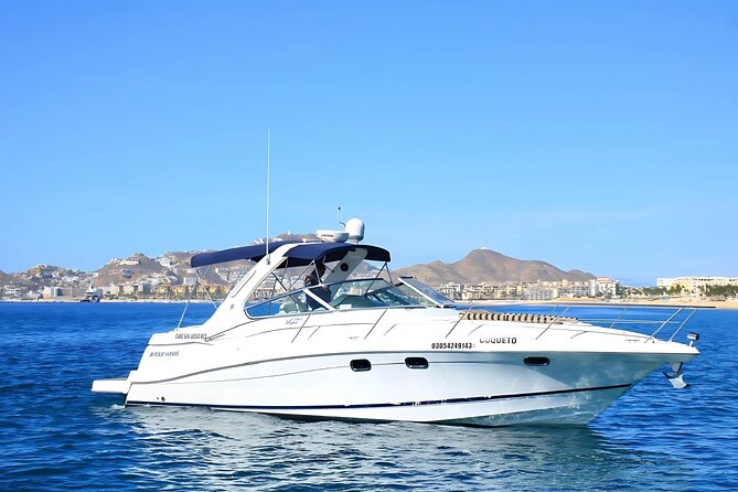 Your Own Private Yacht in Cabo – Snorkeling, Crew & Coastal Views - Snorkeling Expectations: Pelican Rock Reality Check