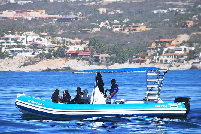 ZODIAC Whale Watch Tour | Cabo San Lucas | Biologist | FREE Pics - What you’re really buying on this Cabo whale watch (Zodiac + biologist)